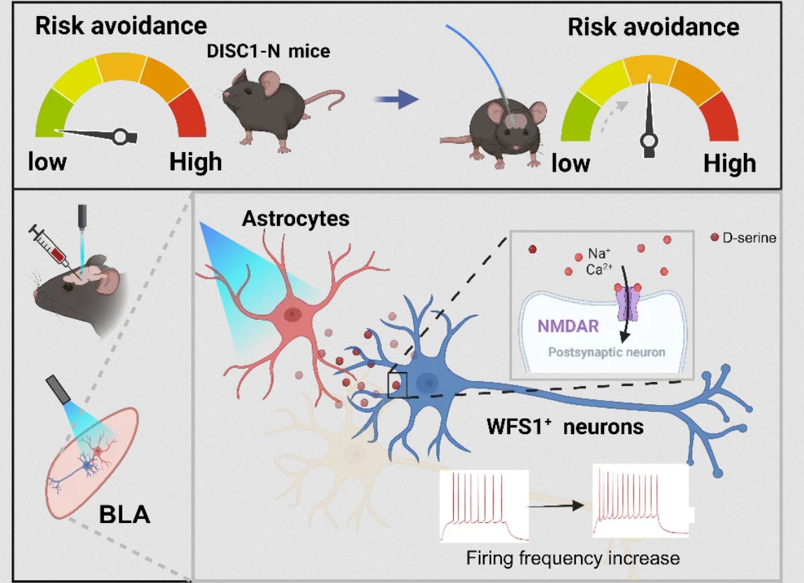 beat365在线体育app
