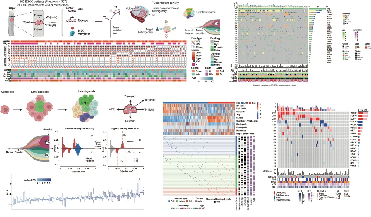 beat365在线体育app