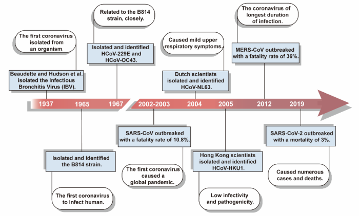 beat365在线体育app