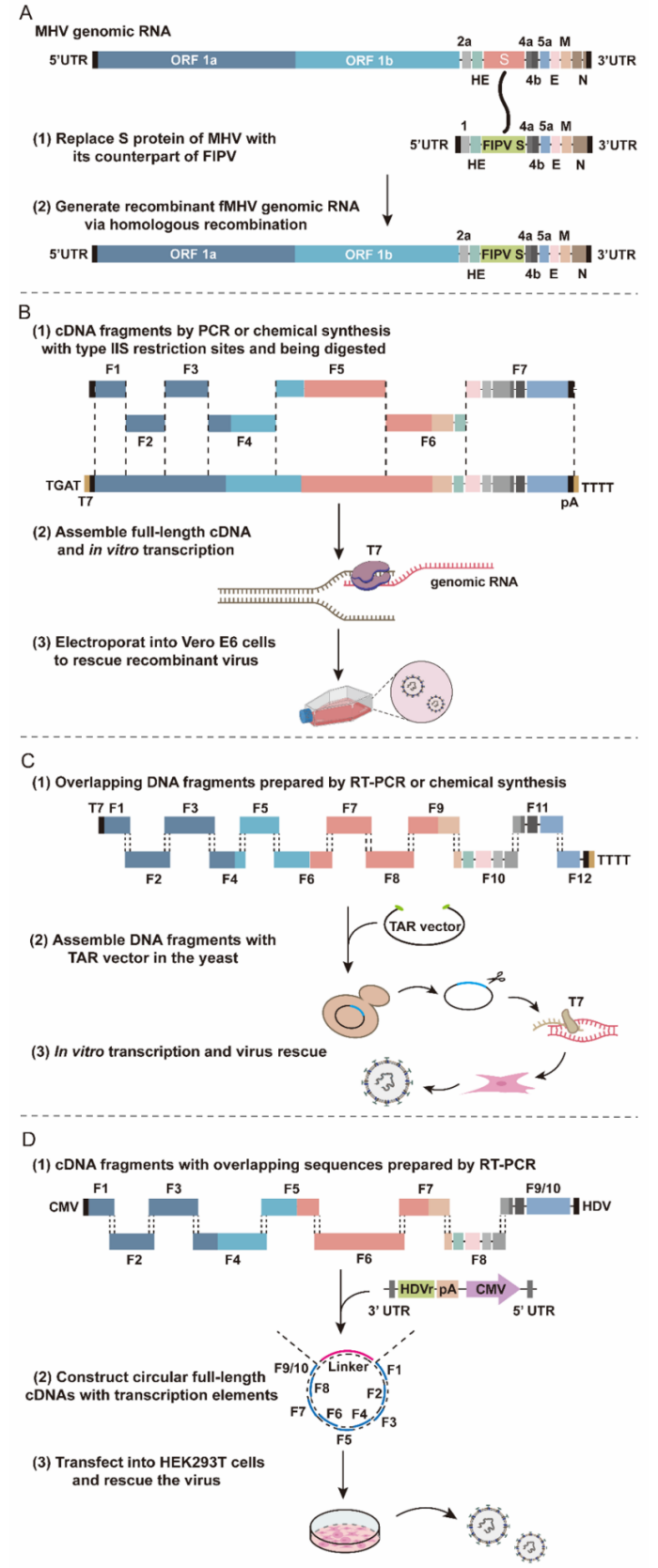 beat365在线体育app