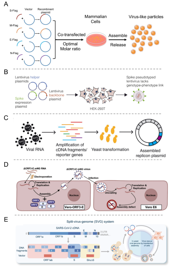 beat365在线体育app