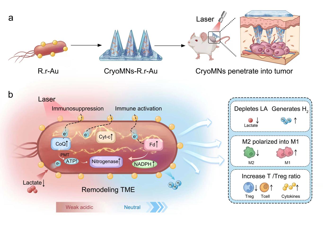 beat365在线体育app