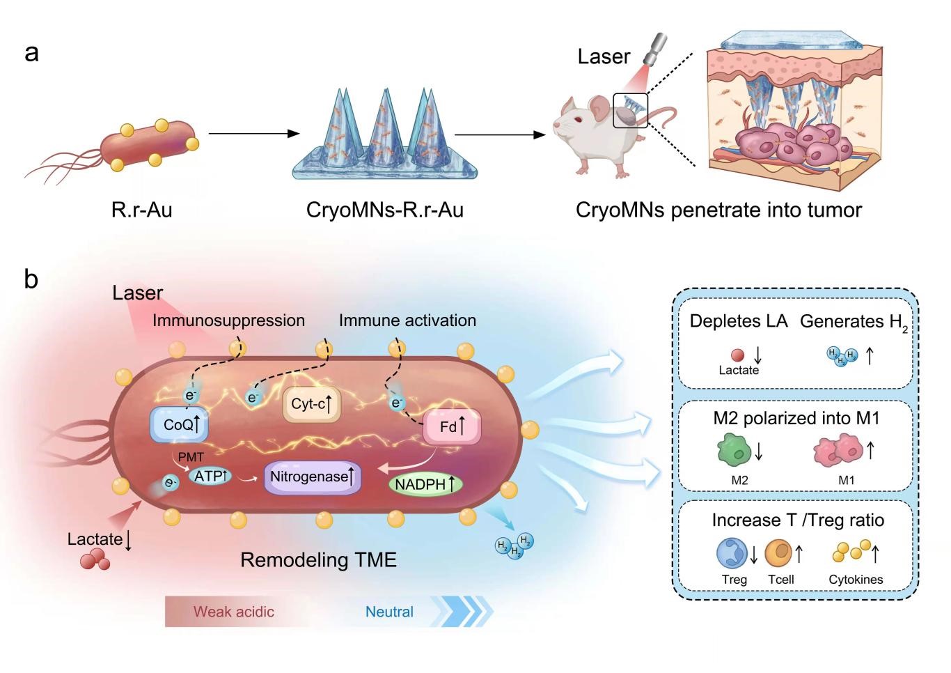 beat365在线体育app