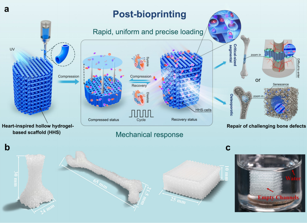 beat365在线体育app