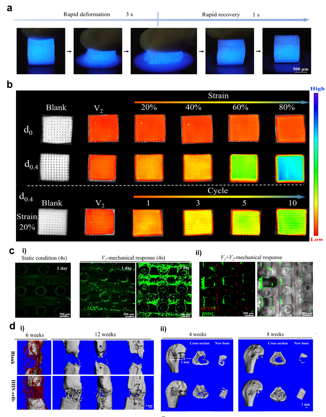 beat365在线体育app