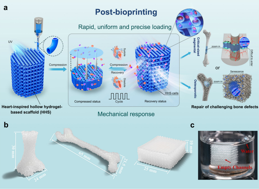 beat365在线体育app