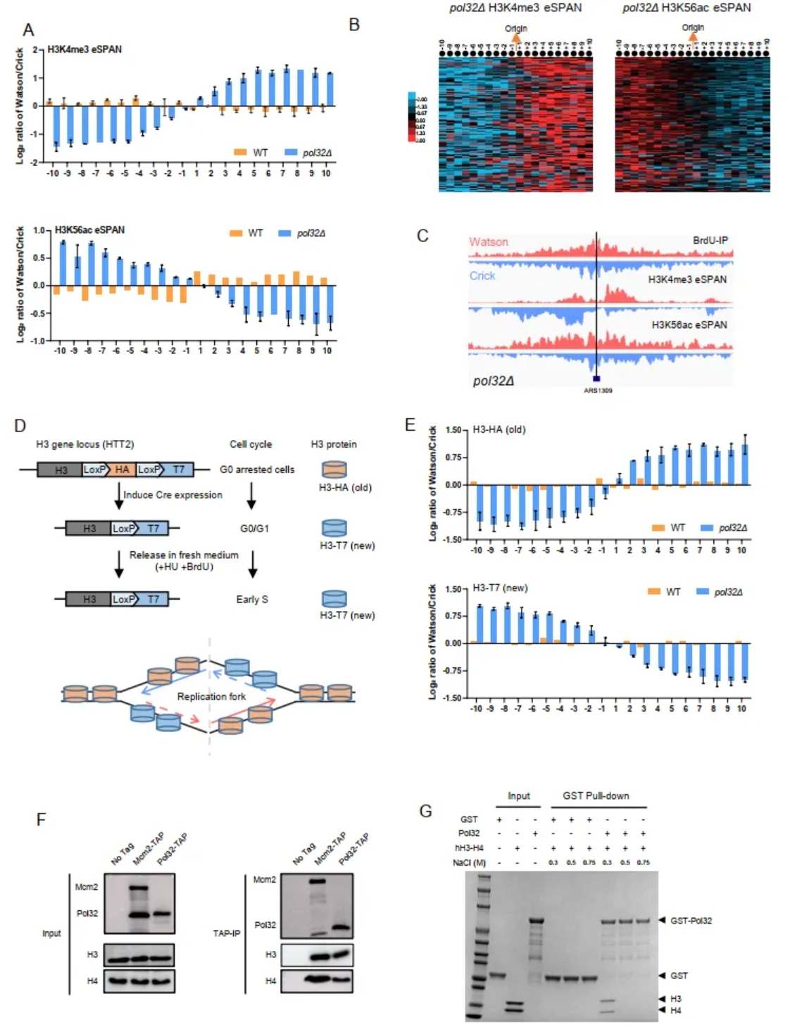 beat365在线体育app