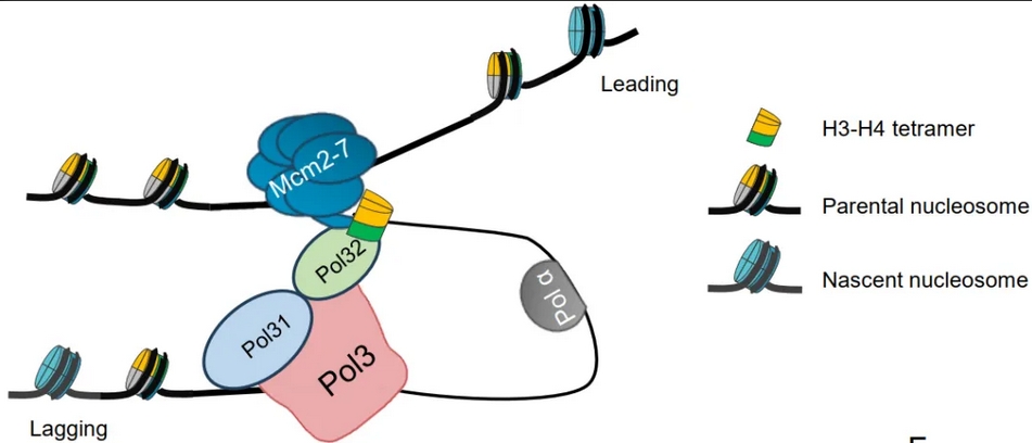 beat365在线体育app