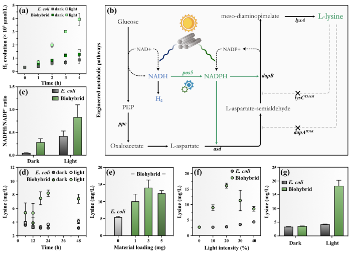 beat365在线体育app