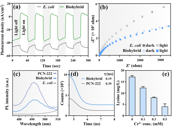 beat365在线体育app