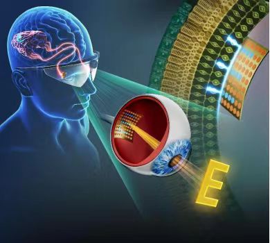 beat365在线体育app