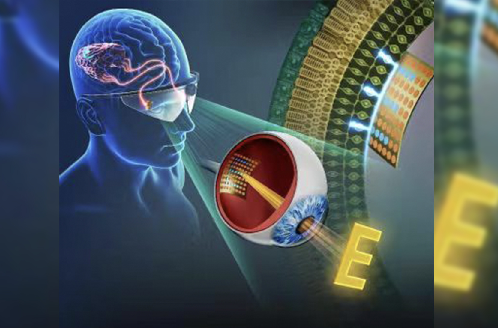 beat365在线体育app