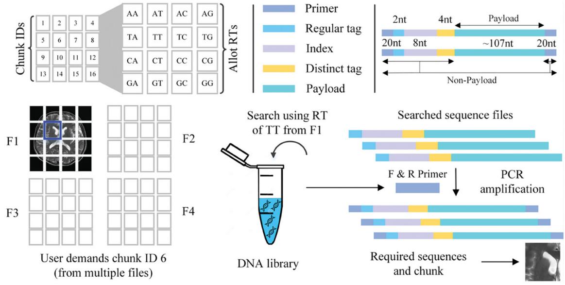 beat365在线体育app