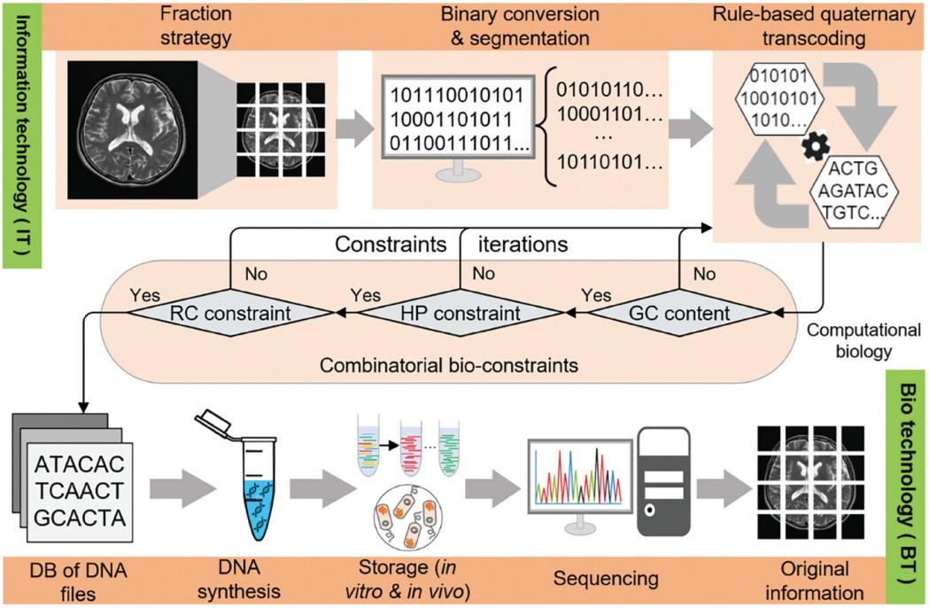 beat365在线体育app