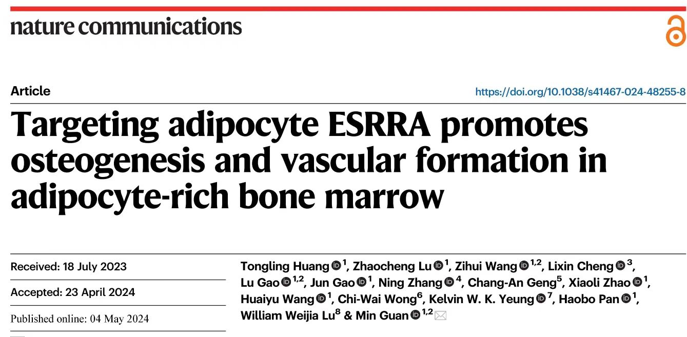 beat365在线体育app