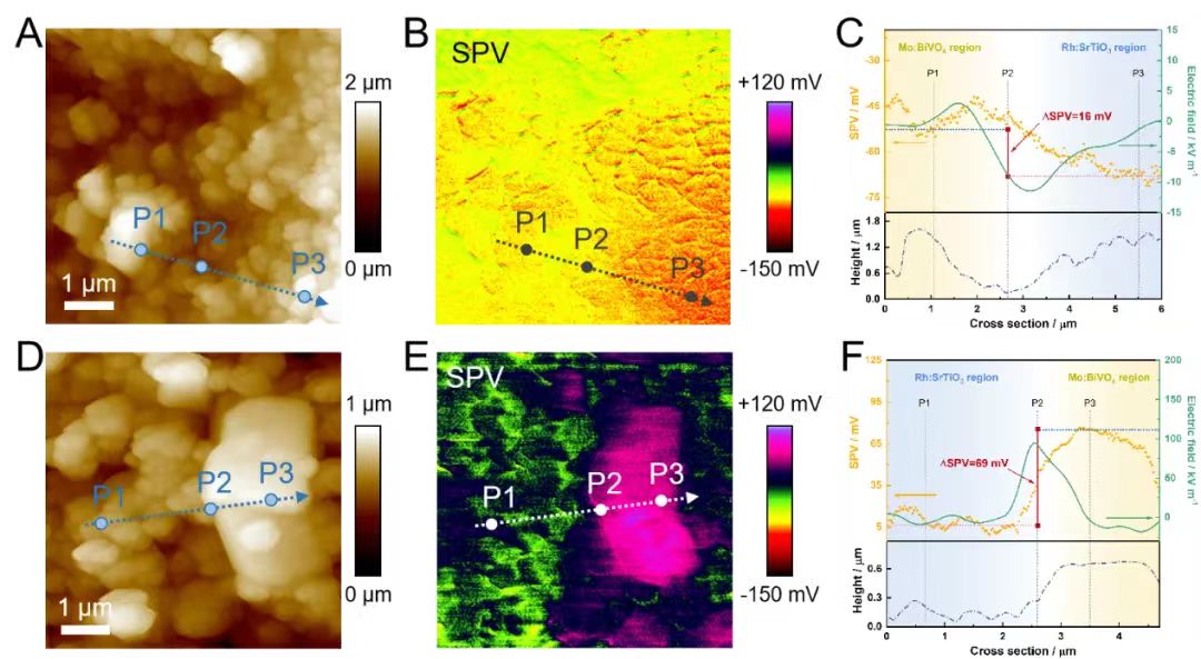 beat365在线体育app