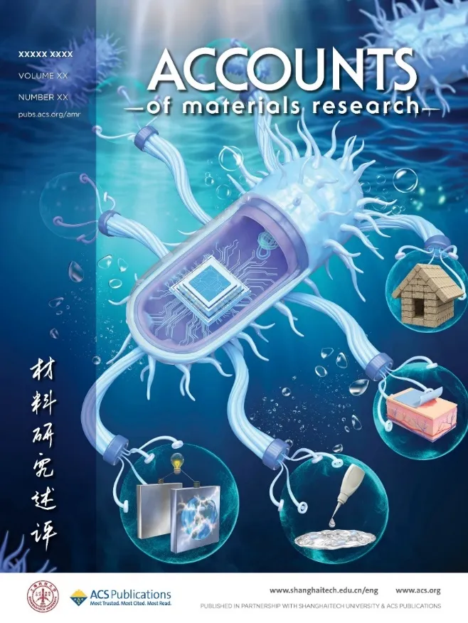 beat365在线体育app