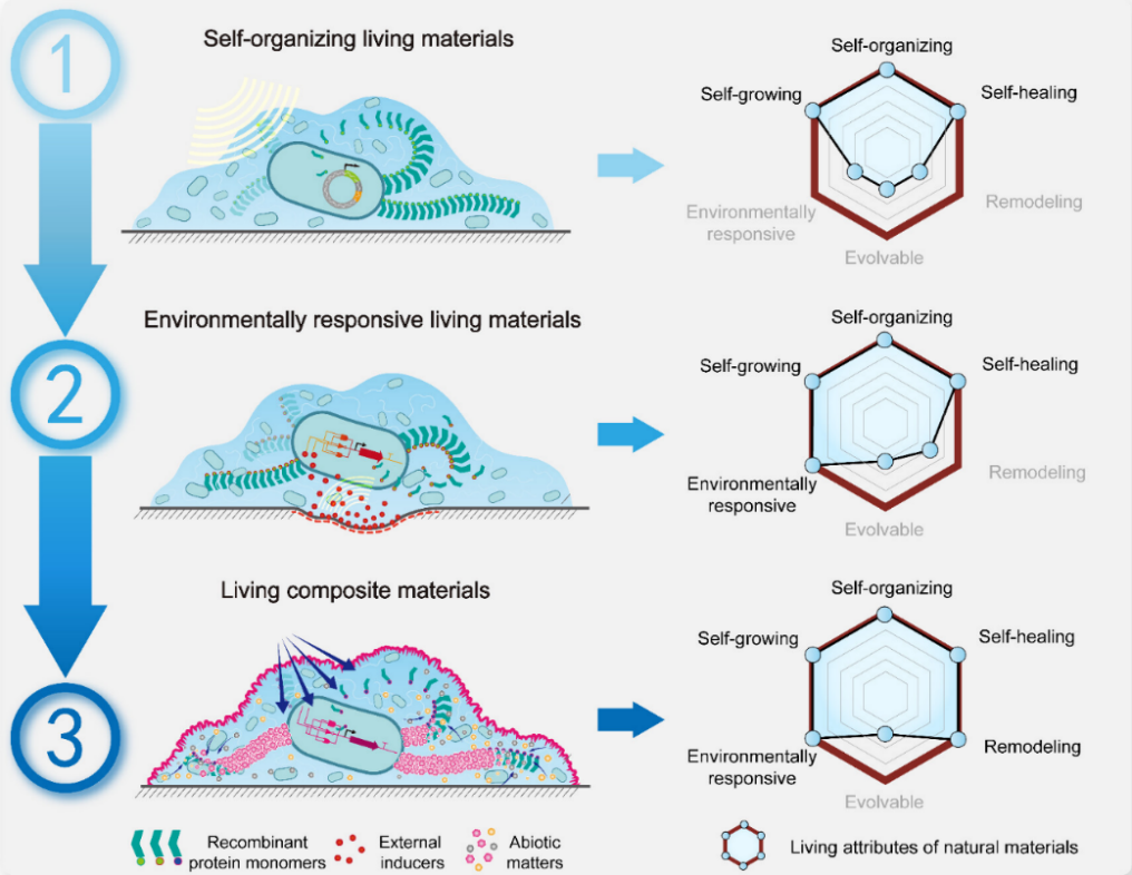 beat365在线体育app