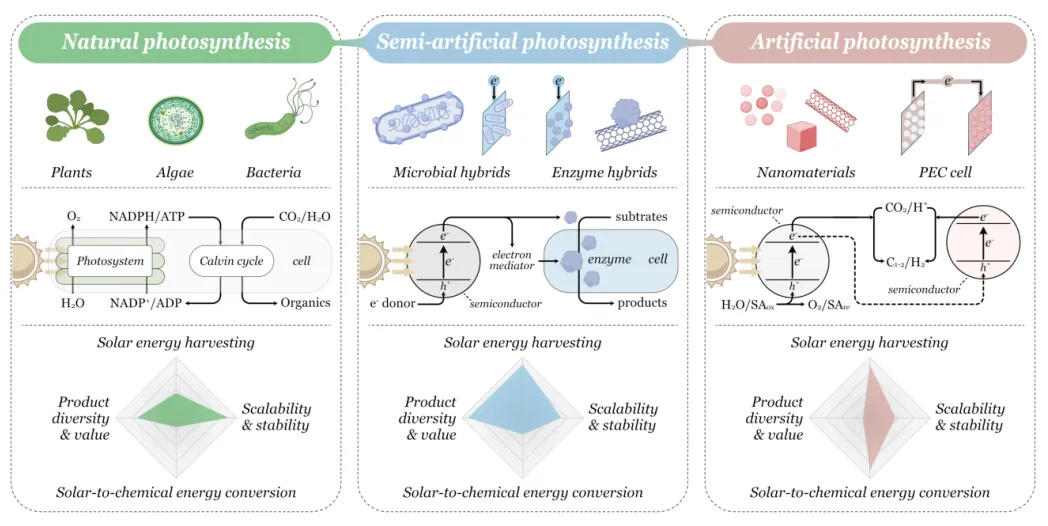 beat365在线体育app
