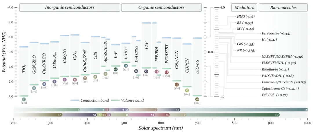 beat365在线体育app