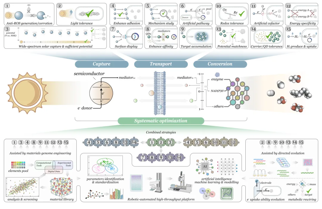 beat365在线体育app