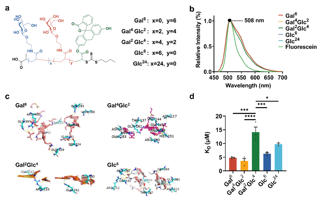 beat365在线体育app