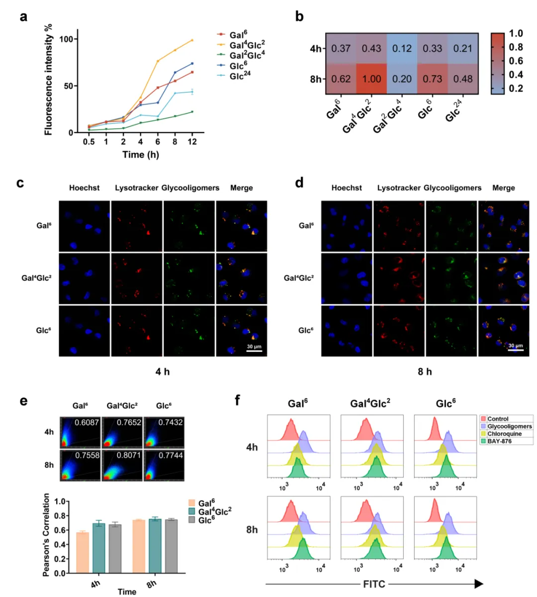 beat365在线体育app
