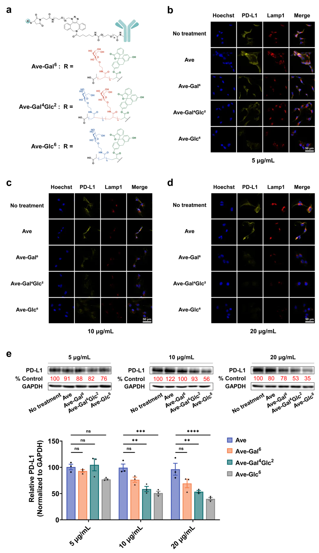 beat365在线体育app