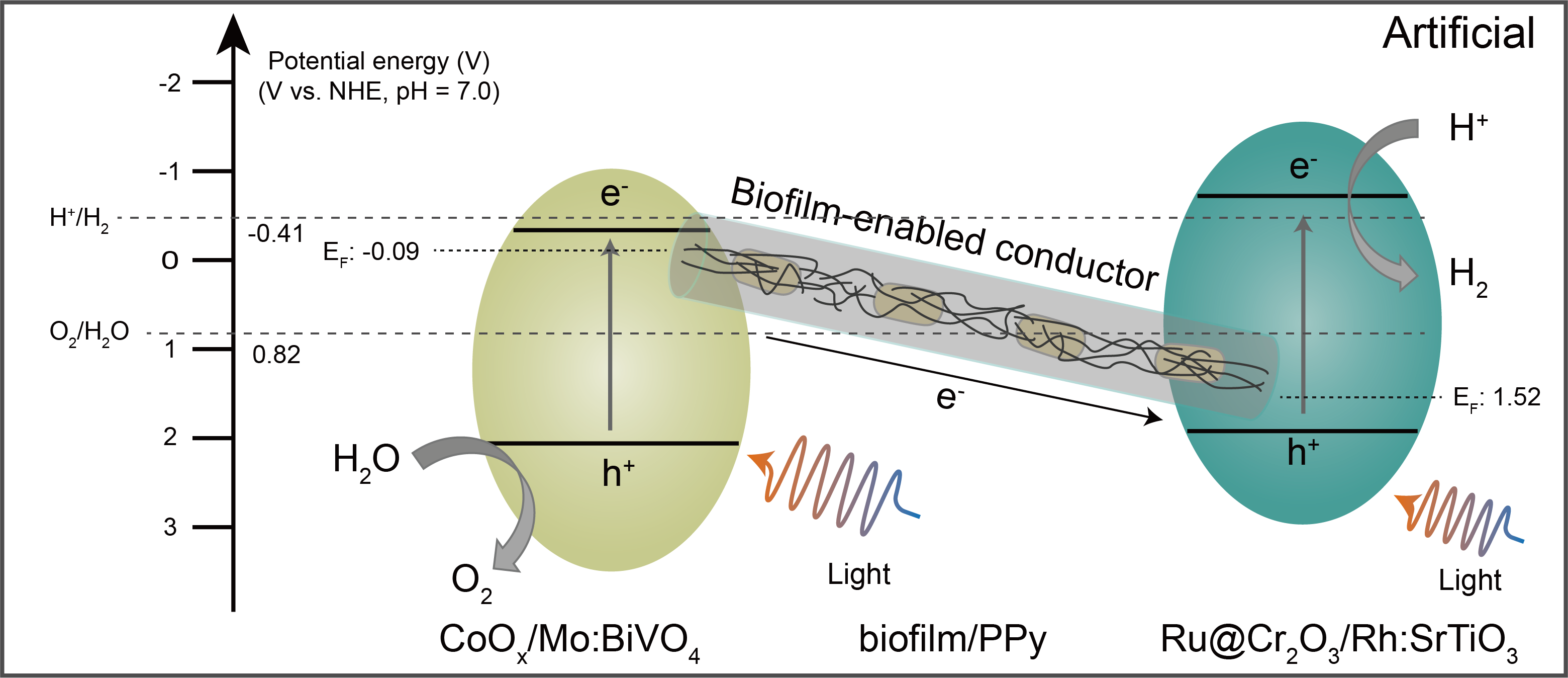 beat365在线体育app