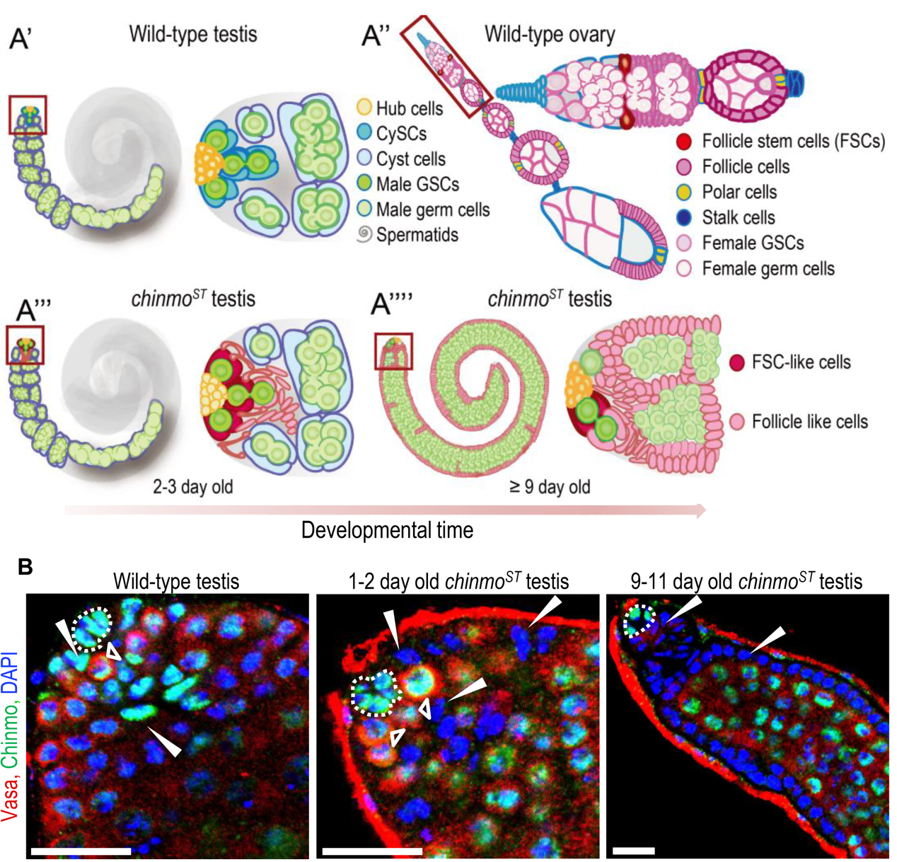 beat365在线体育app