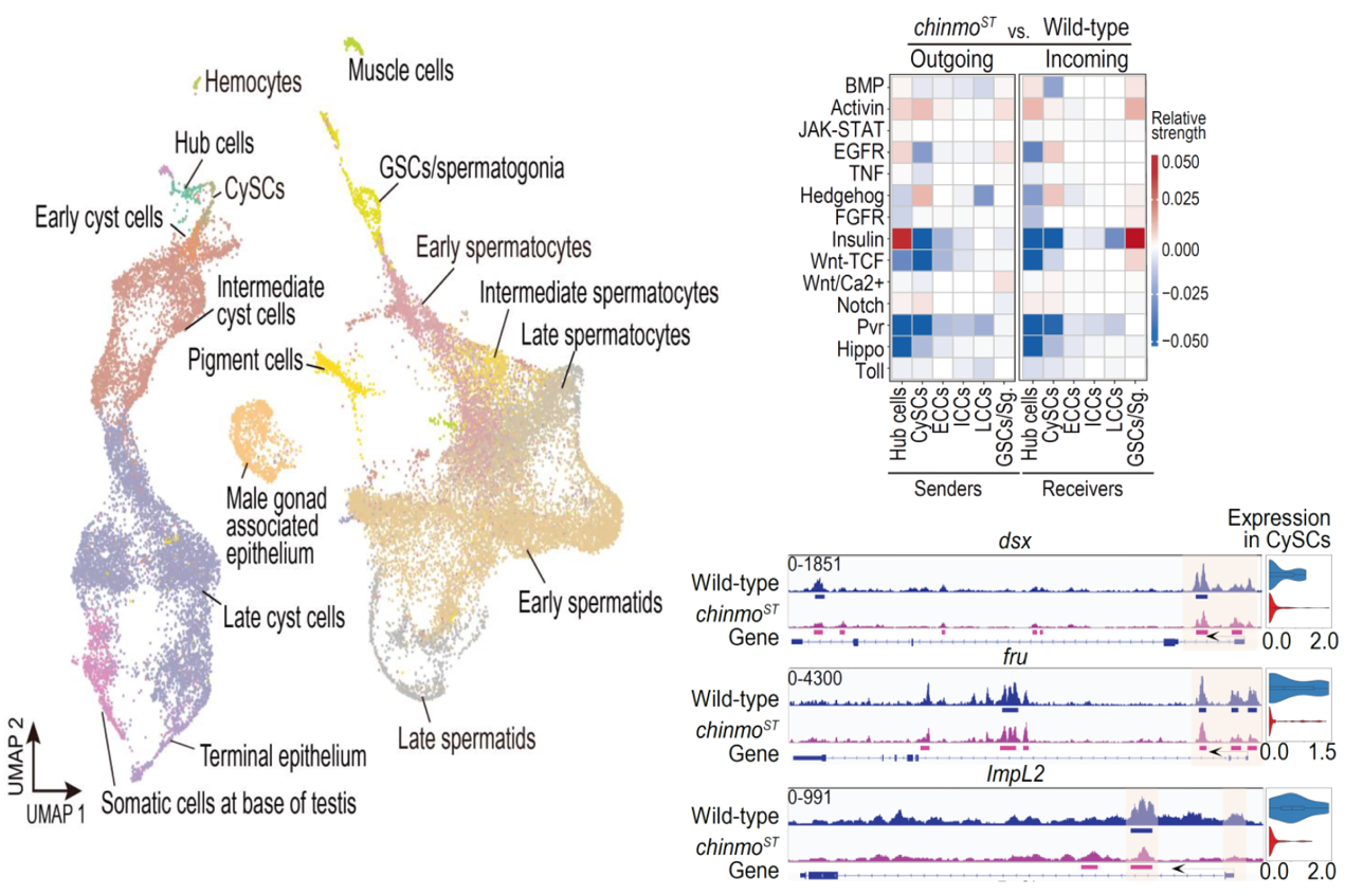 beat365在线体育app