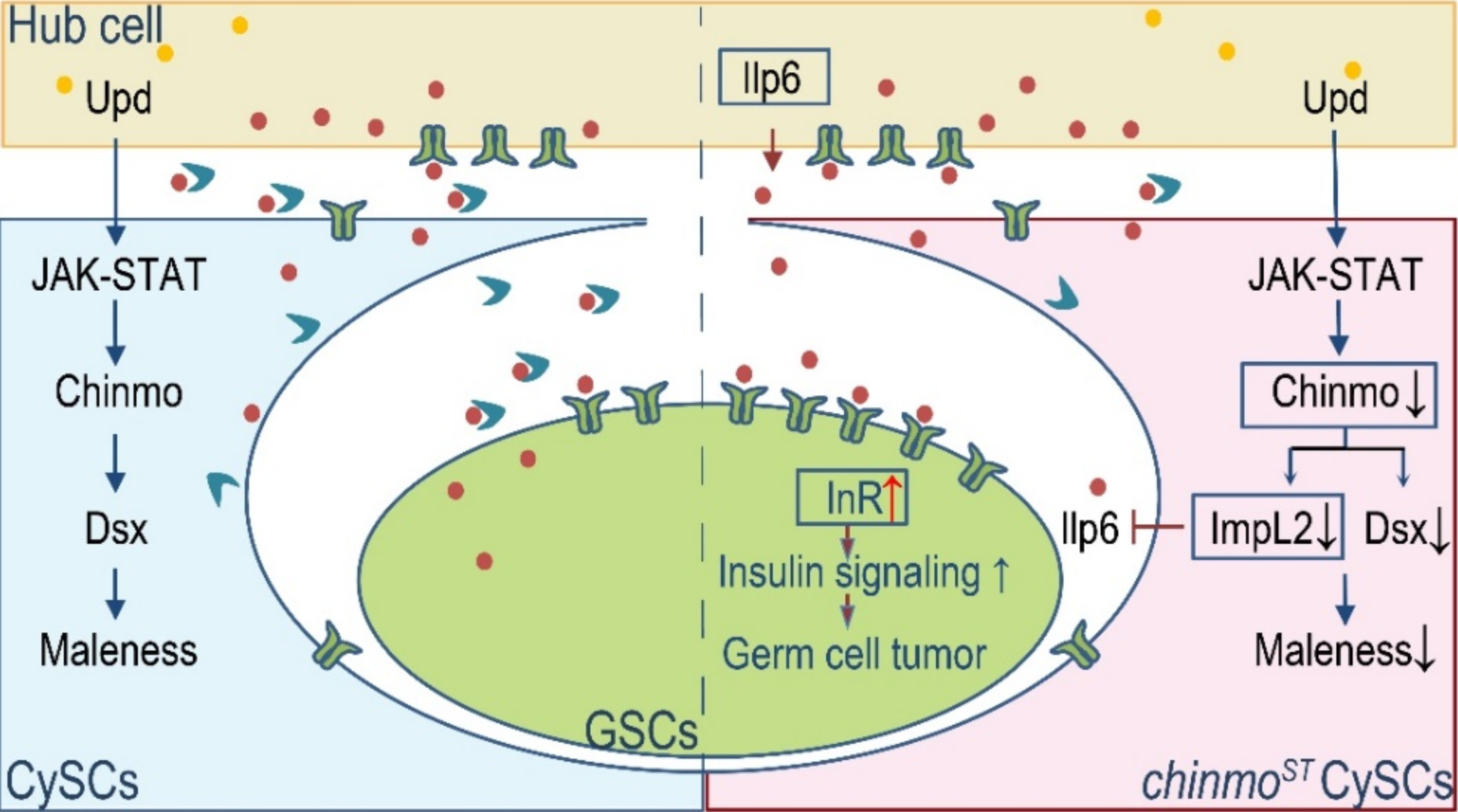 beat365在线体育app