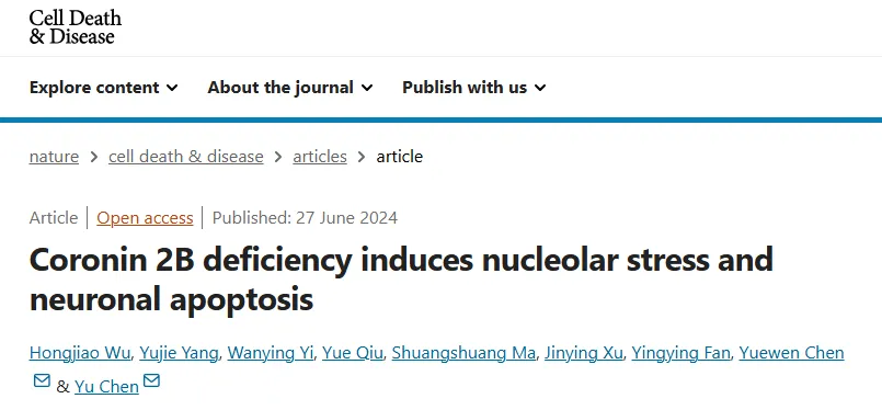 beat365在线体育app