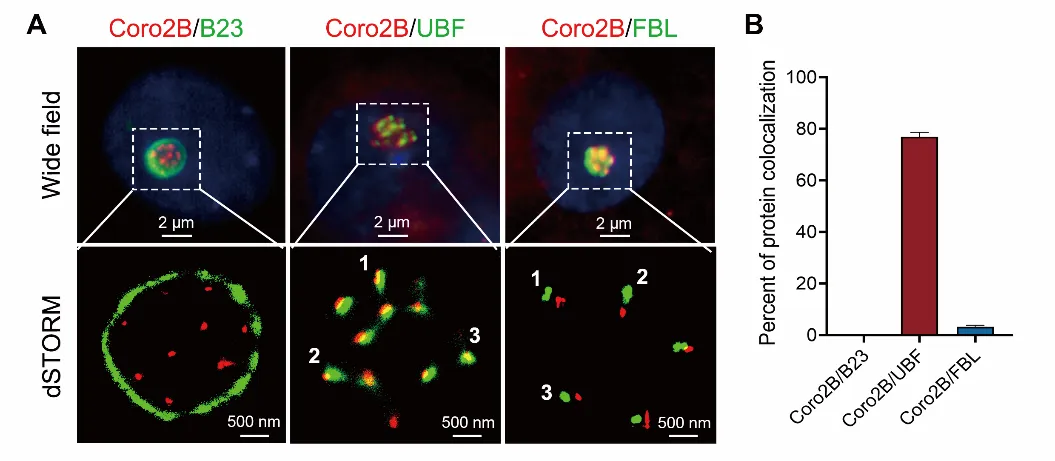 beat365在线体育app