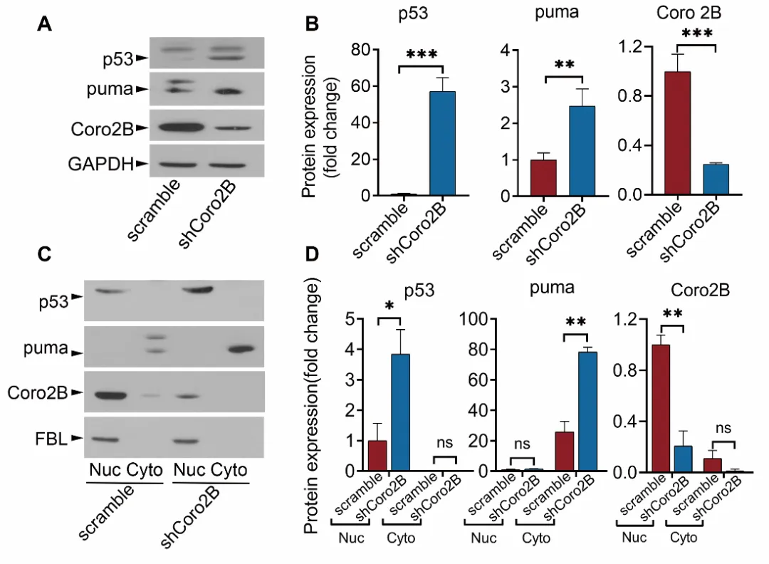 beat365在线体育app