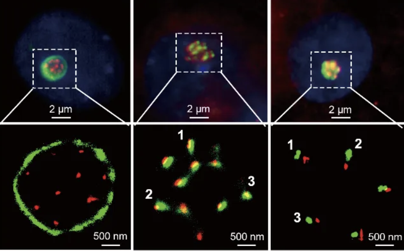 beat365在线体育app