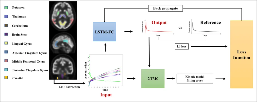 beat365在线体育app