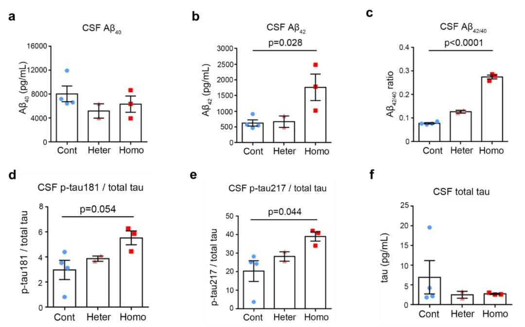 beat365在线体育app