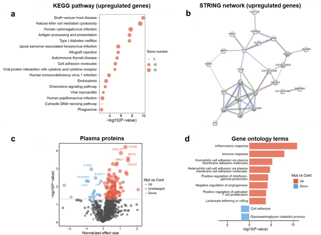 beat365在线体育app
