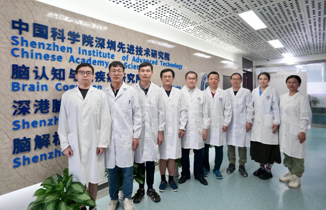 beat365在线体育app