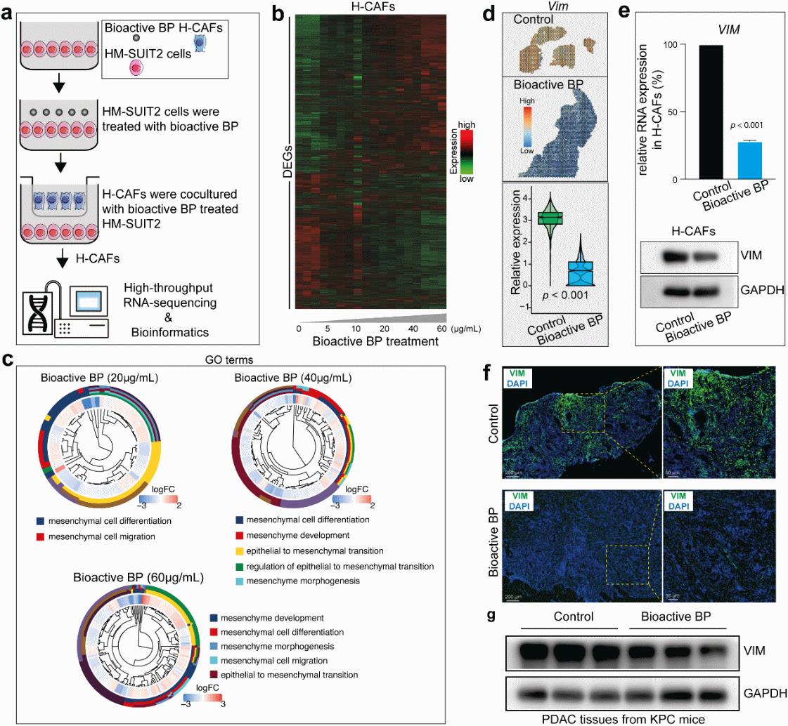 beat365在线体育app