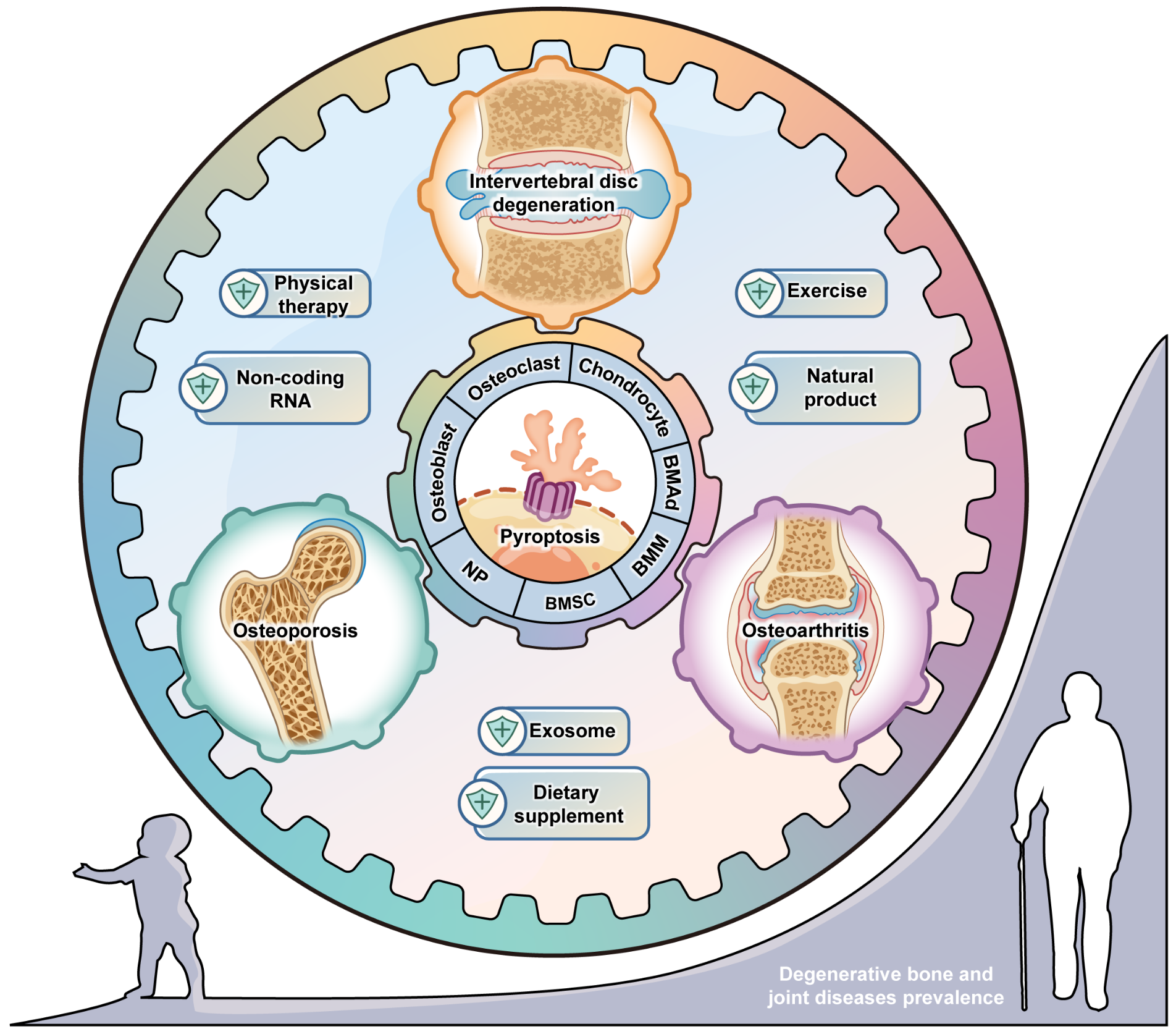 beat365在线体育app