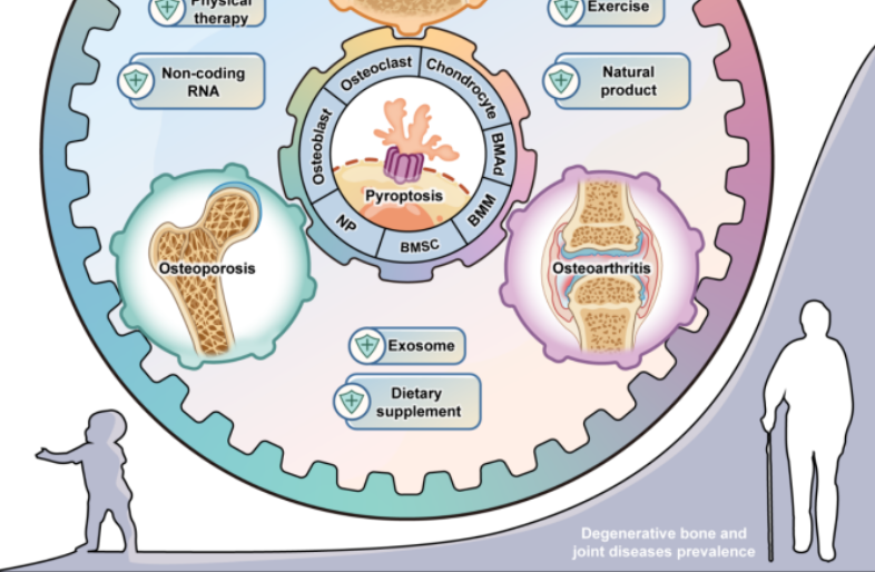 beat365在线体育app