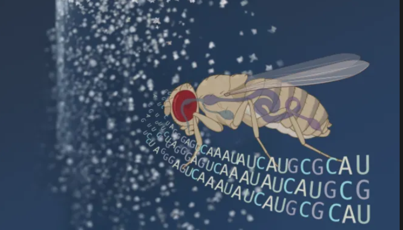 beat365在线体育app