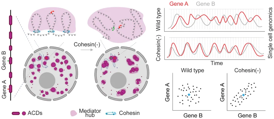 beat365在线体育app