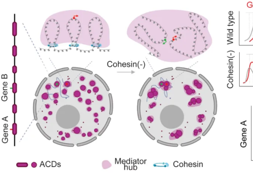 beat365在线体育app