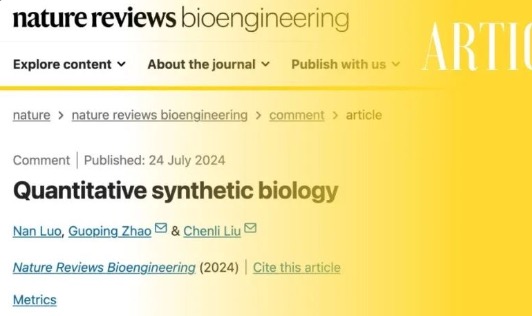 beat365在线体育app