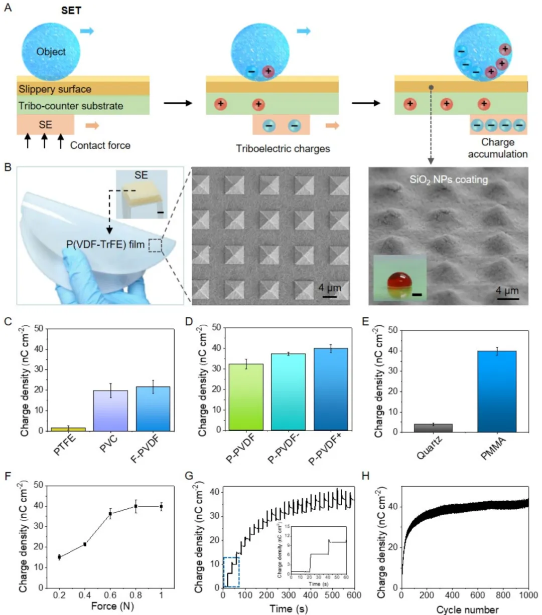 beat365在线体育app