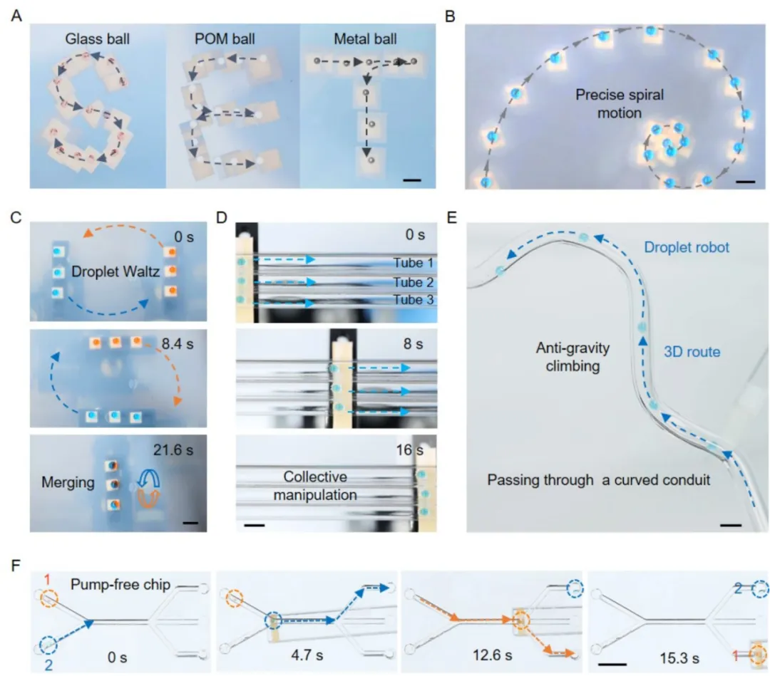 beat365在线体育app