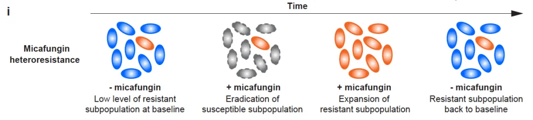beat365在线体育app